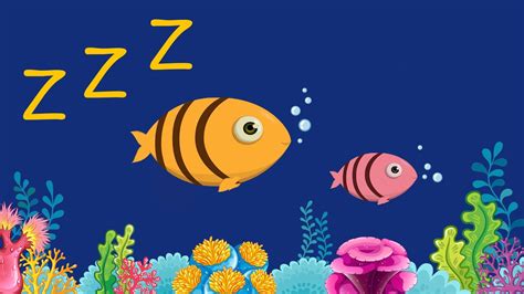 naptime music for preschool|calming music nap time preschool.